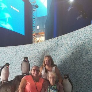 Meet your Posher, Lois